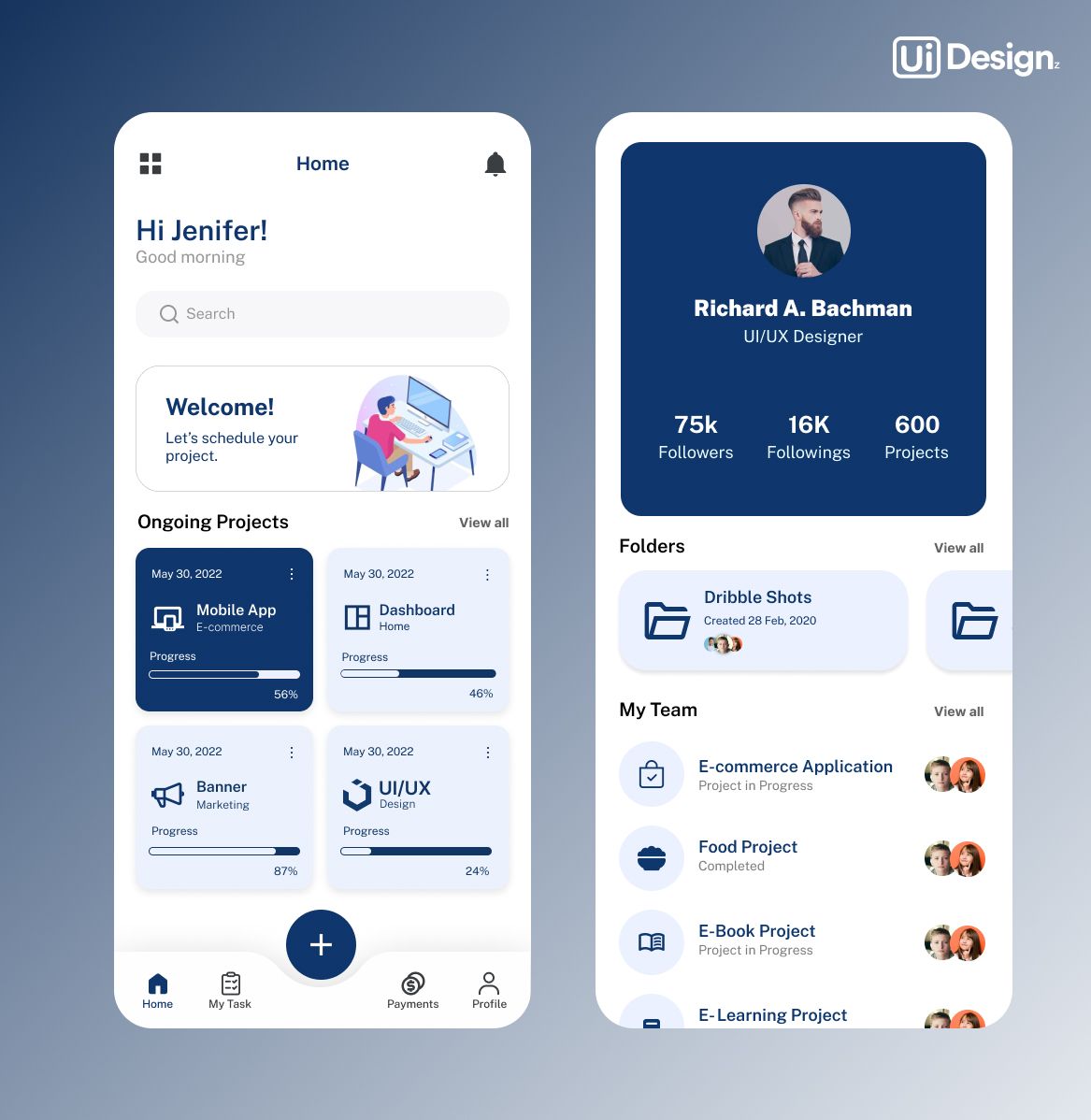 Professional UI/UX Design Experience Services Company